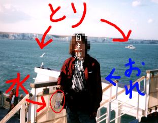 �h�[�o�[�C���D��ɂ�